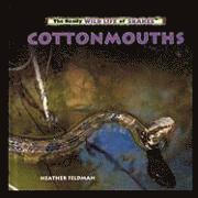 Cottonmouths 1