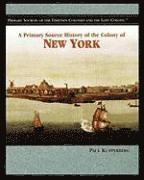 bokomslag A Primary Source History of the Colony of New York