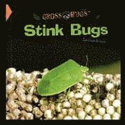 Jonathan Kravetz - Stink Bugs, Häftad