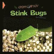 bokomslag Stink Bugs