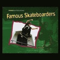 bokomslag Famous Skateboarders