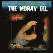 bokomslag The Moray Eel