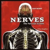 bokomslag Nerves: The Nervous System