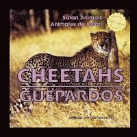 bokomslag Cheetahs/Guepardos