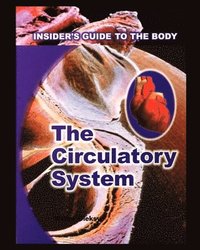 bokomslag Circulatory System