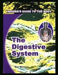 bokomslag Digestive System