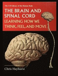 bokomslag The Brain and Spinal Cord: Learning How We Think, Feel and Move
