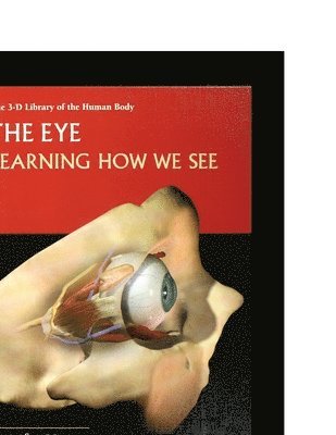 bokomslag The Eye: Learning How to See