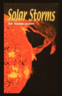 bokomslag Solar Storms