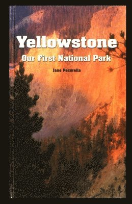 bokomslag Yellowstone: Our First National Park