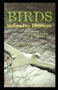 bokomslag Birds: Modern-Day Dinosaurs