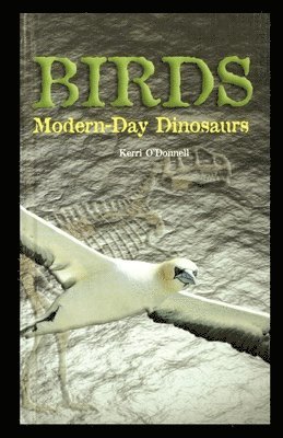 bokomslag Birds