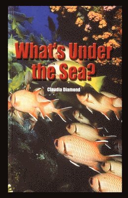 What's Under the Sea? 1