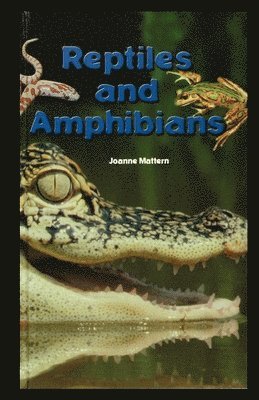 bokomslag Reptiles and Amphibians