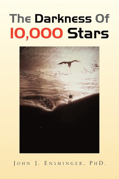 bokomslag Darkness of 10,000 Stars