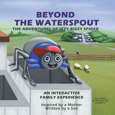 bokomslag Beyond The Waterspout