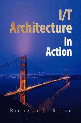Richard J Reese, Richard J. Reese - I/T Architecture in Action, Inbunden