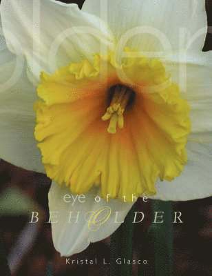 Kristal L Glasco, Kristal L. Glasco - Eye of the Beholder, Häftad