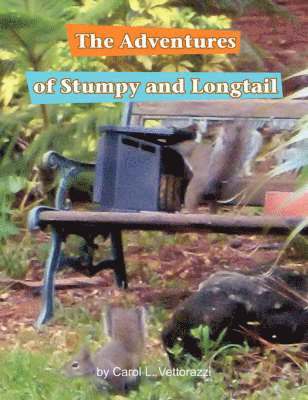 bokomslag The Adventures of Stumpy and Longtail
