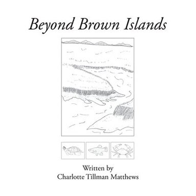 bokomslag Beyond Brown Islands