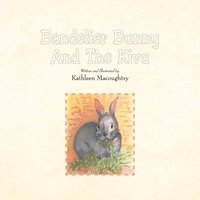 bokomslag Bandelier Bunny and the Kiva