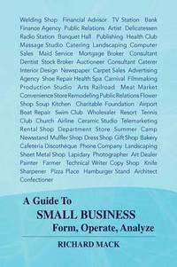 bokomslag A Guide to Small Business Form, Operate, Analyze