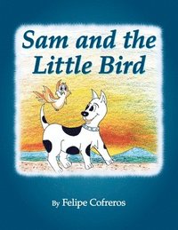 bokomslag Sam and the Little Bird