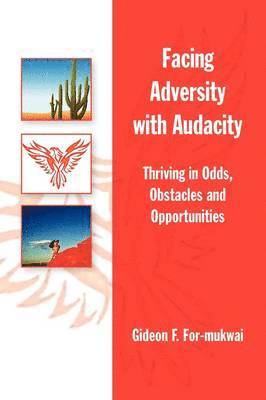 Facing Adversity with Audacity 1