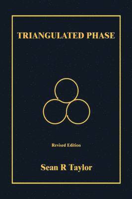 bokomslag Triangulated Phase