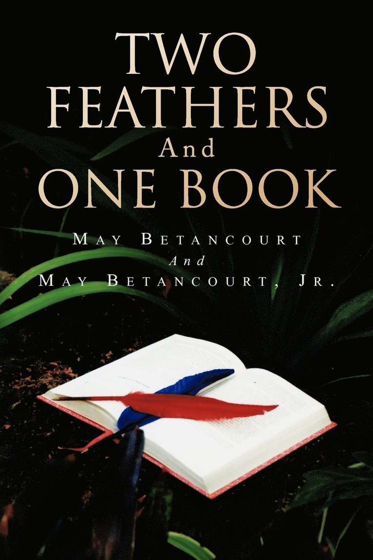 Two Feathers and One Book 1