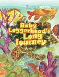 bokomslag Baby Loggerhead's Long Journey