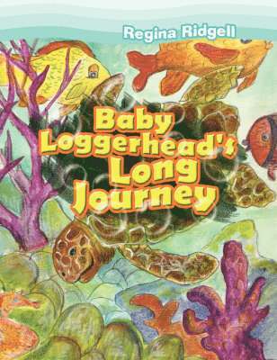 Baby Loggerhead's Long Journey 1