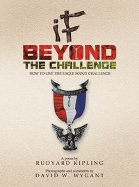 bokomslag IF - Beyond the Challenge