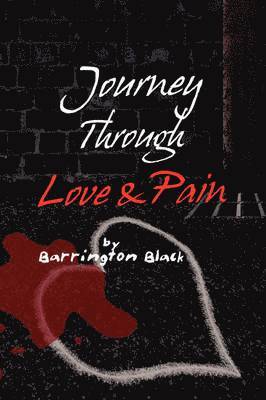 bokomslag Journey Through Love & Pain