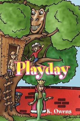 bokomslag Playday