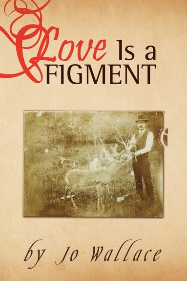 bokomslag Love Is a Figment
