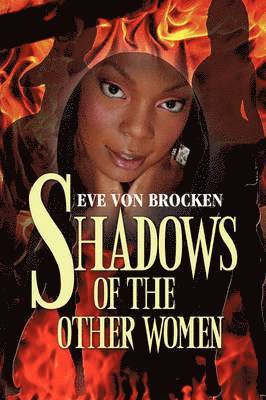 bokomslag Shadows of the Other Women