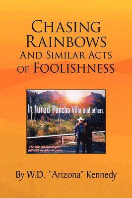 bokomslag Chasing Rainbows and Similar Acts of Foolishness