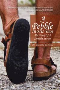 bokomslag A Pebble in His Shoe