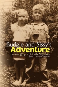 bokomslag Budgie and Sissy's Adventure