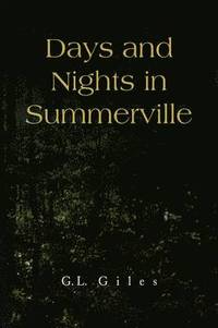 bokomslag Days and Nights in Summerville