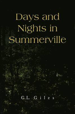 bokomslag Days and Nights in Summerville