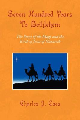 bokomslag Seven Hundred Years To Bethlehem