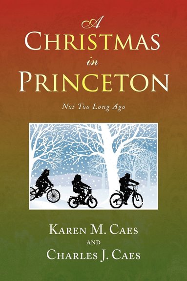 bokomslag A Christmas in Princeton