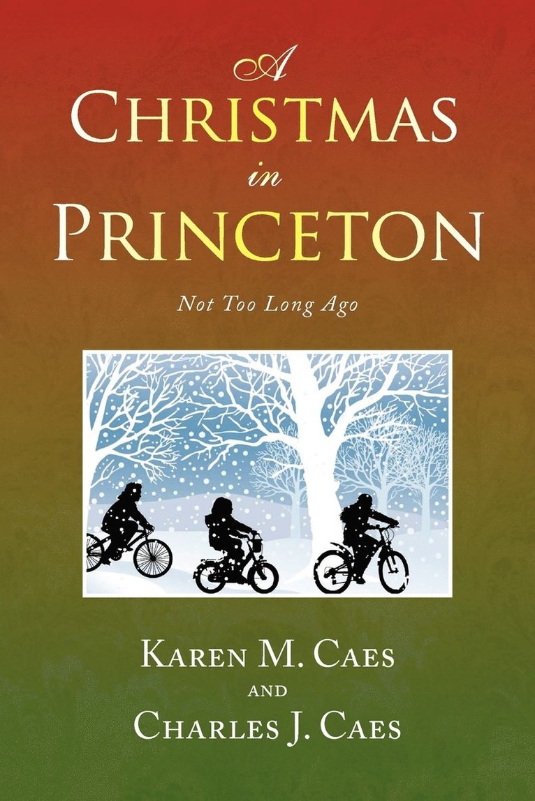 A Christmas in Princeton 1