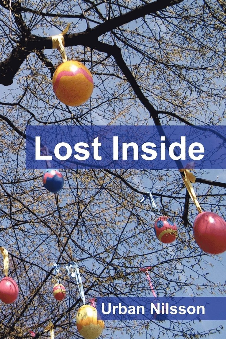 Lost Inside 1