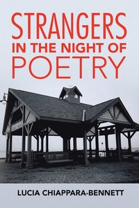 bokomslag Strangers in the Night of Poetry