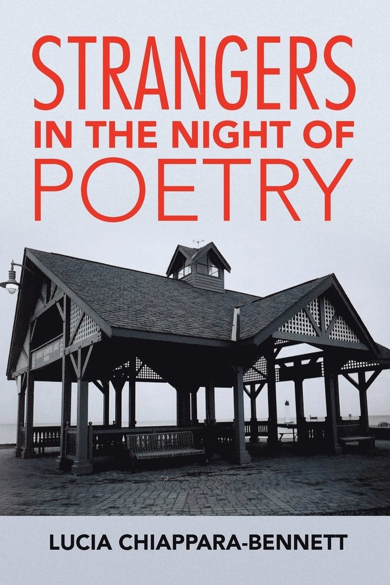 Strangers in the Night of Poetry
