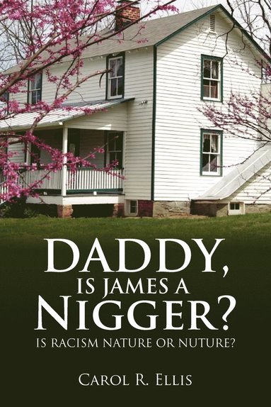 bokomslag Daddy, Is James a Nigger?