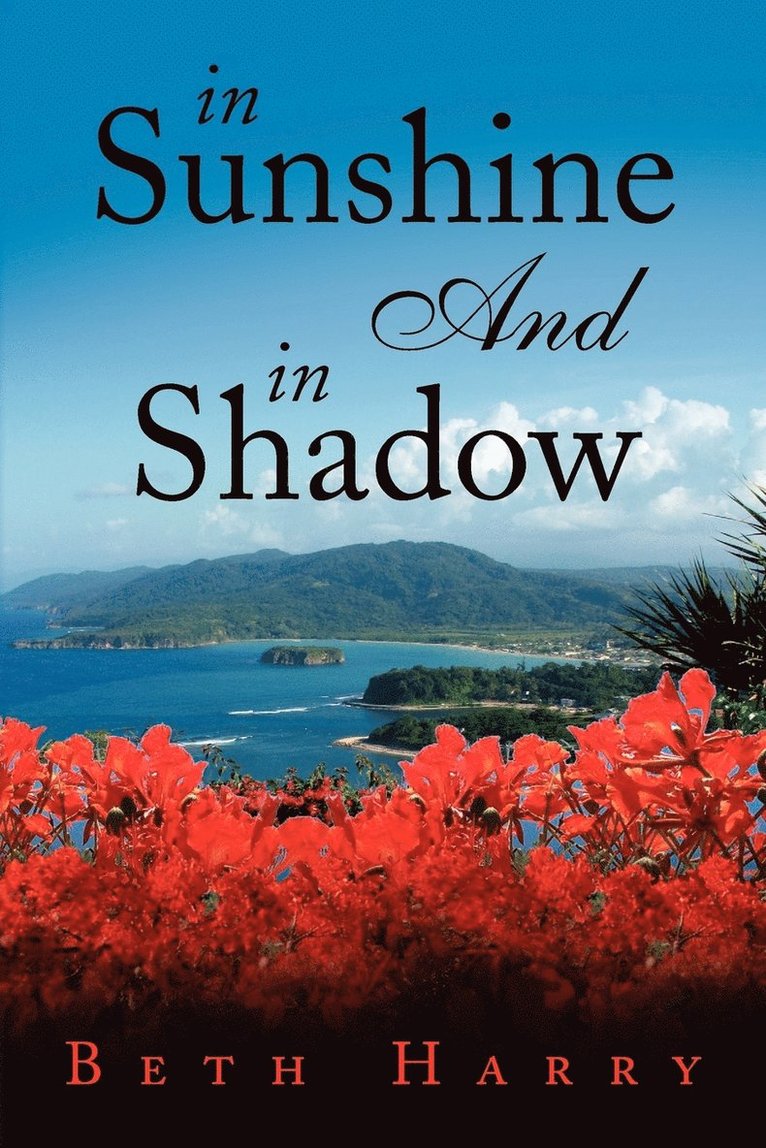 Beth Harry - In Sunshine and in Shadow, Häftad